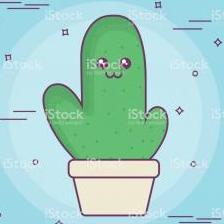 cactus