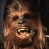 Jew Bacca