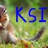 The KSI Squirrel